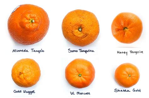 mandarin zest vs orange.